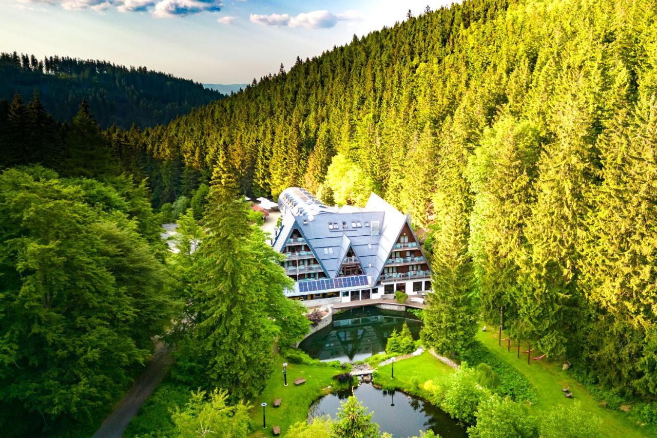 Jelenia Struga Medical Kowary